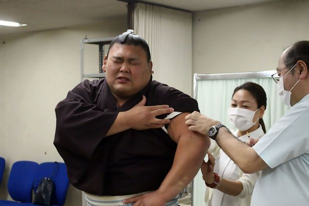 日本相扑选手注射疫苗时表情痛苦难掩哭泣[4]