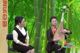 中国音乐学院教授做客《器乐中国》 与青年之