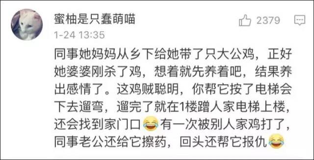 什么大办成语_成语故事简笔画(3)