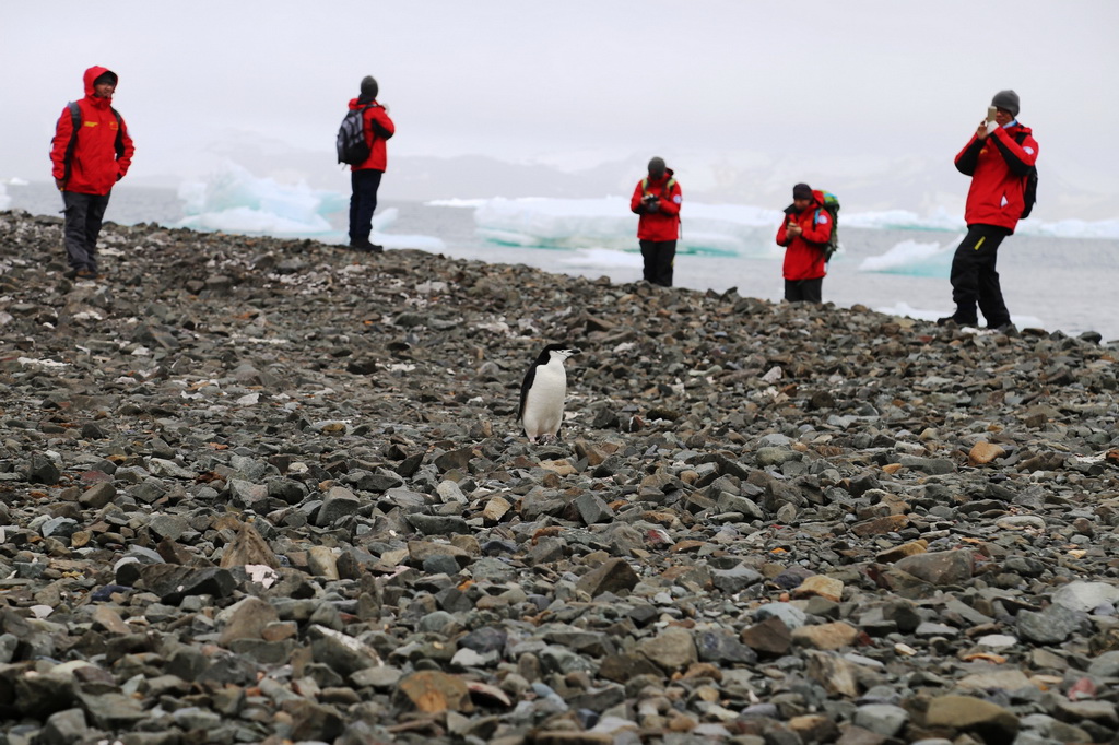 海洋六号南极科考队员完成首次登陆考察任务