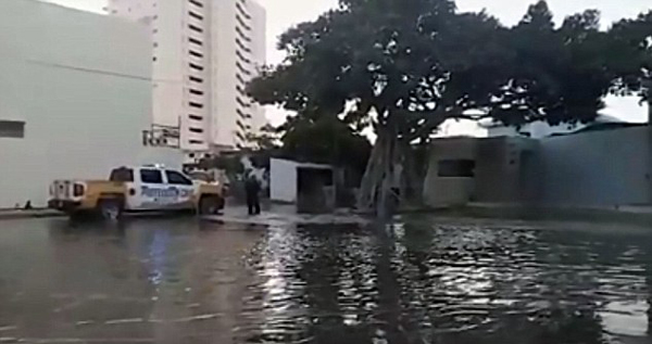 墨西哥水族馆鲨鱼水箱破裂导致街道被淹没