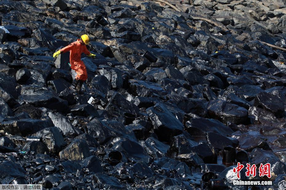 印度撞船事故漏油20吨 大量海龟死亡海岸被染