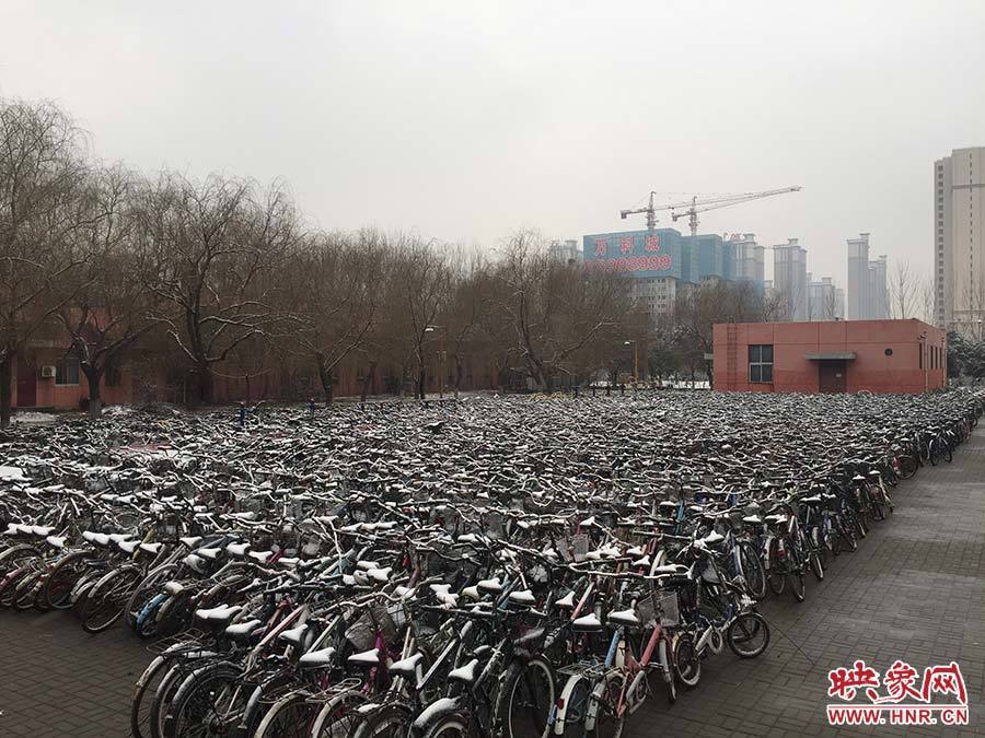 大学清理数千辆自行车 场面壮观似“钢铁坟墓”