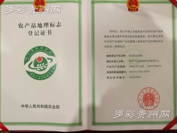 贵州 凯里水晶葡萄 获得国家地理标志保护