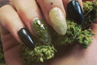 “大麻美甲”风靡社交媒体