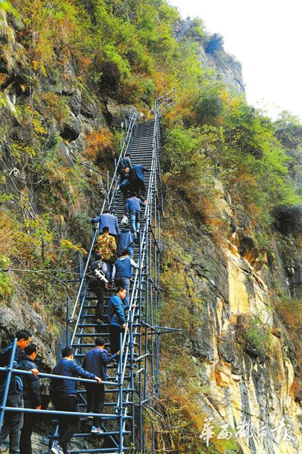 四川凉山悬崖村藤梯变钢梯 险道将成旅游风景