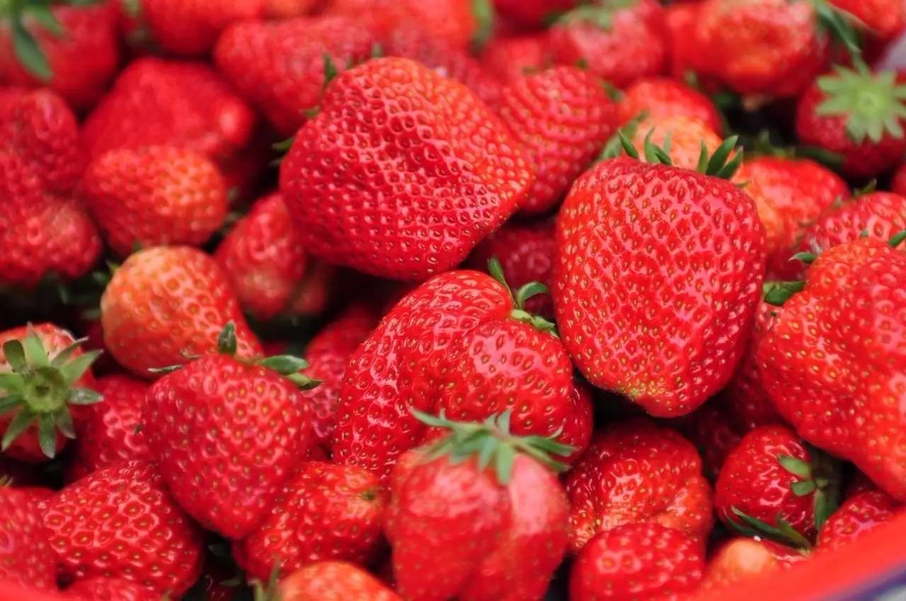 福利丨草莓原来不只是拿来吃的!杭小微请你去