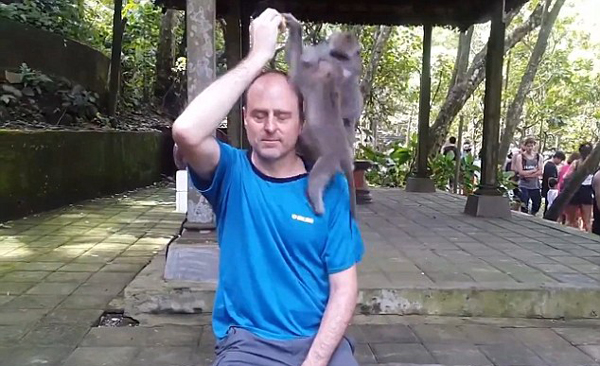 教训深刻!国外男游客抚摸小猴子被猴妈妈咬伤