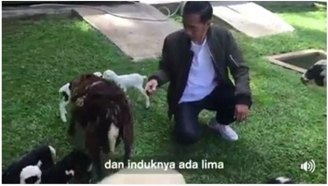 印尼总统发新视频展现亲民作风 迎接羊宝宝出生（图）