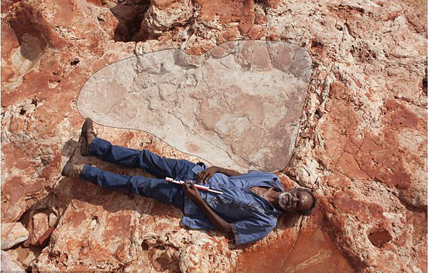 澳西北部发现世界最大恐龙足迹 与成人身高相当