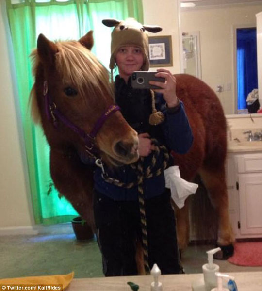 美女子将马带入爸妈浴室拍合照引人关注