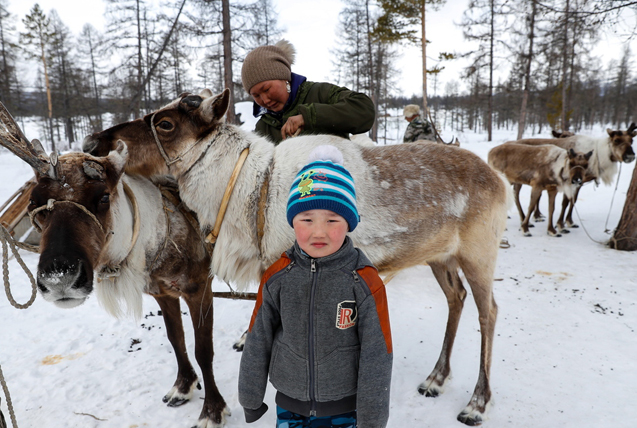 探访俄罗斯鹿饲养场 农场主以鹿为生幸福生活