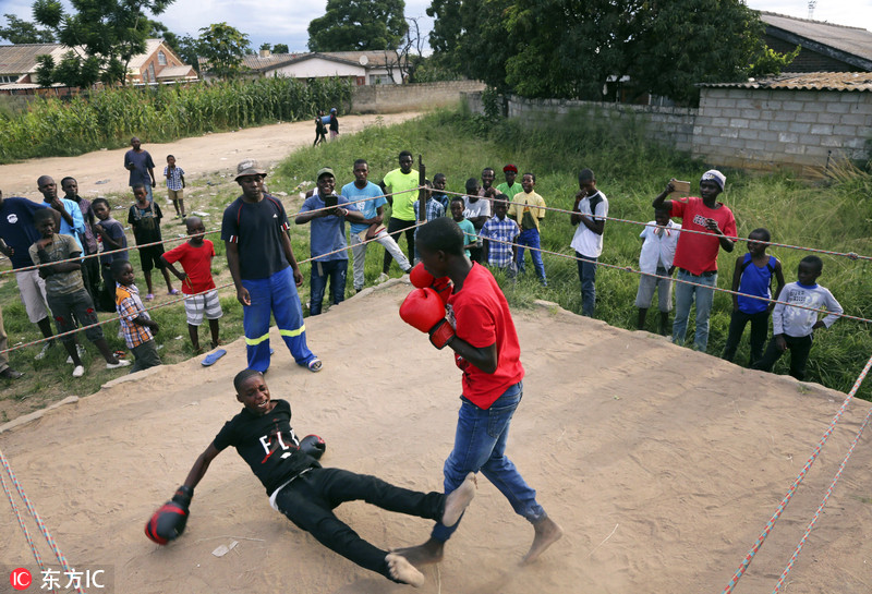 津巴布韦儿童练拳击 在格斗中远离歧途