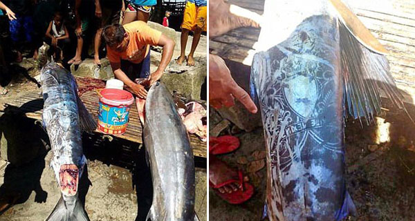 菲律宾渔民捕获“纹身奇鱼”引众人猜想
