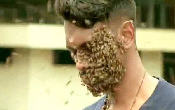 印度小哥头上布满6万只蜜蜂变蜂窝 称无痛感（视频） - 1