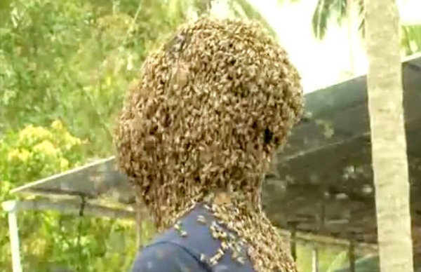 印度小哥头上布满6万只蜜蜂变蜂窝 称无痛感（视频） - 2