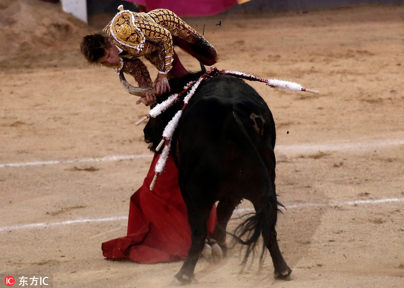 西班牙斗牛赛惊险连连 斗牛士遭牛角顶飞被抬