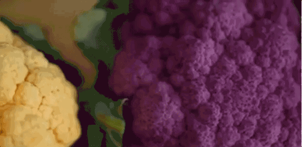 晒早餐 | 花式烹饪菜花,施展你的才华!(内附花式菜花食谱)