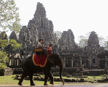 世界动物保护协会:亚洲旅游业中大象生存环境
