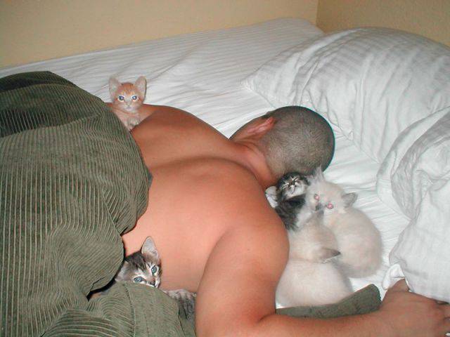 动物睡觉的时候蠢蠢哒图片