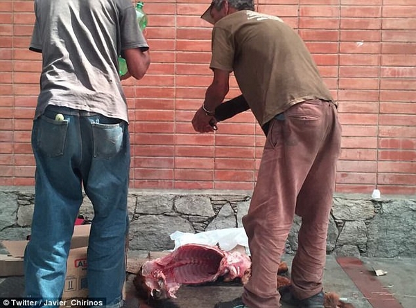 委内瑞拉粮食短缺 民众当街猎杀狗充饥
