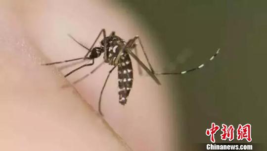 �㽭�����ۼƱ���Ǹ��Ȳ���682����Σ����������