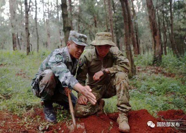 熊猫袋鼠-2017中澳陆军联合训练结束