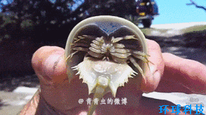 ��С3470����Ԫó�ײ�� ��������