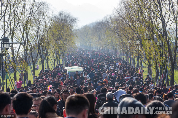 中国旅游业的标志_中国旅游业总收入