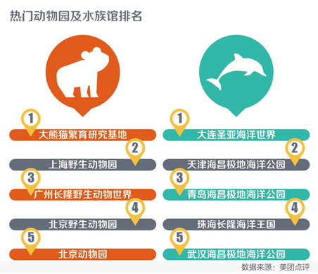 亲子游升温 大熊猫相关旅游产品受欢迎