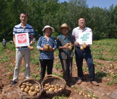 助农扶贫卖土豆 拼多多精准发力推动农产品进