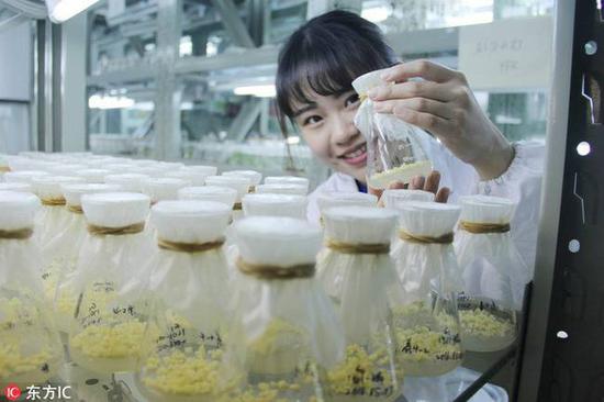 美女学霸“绘本笔记”走红 网友：堪称艺术品