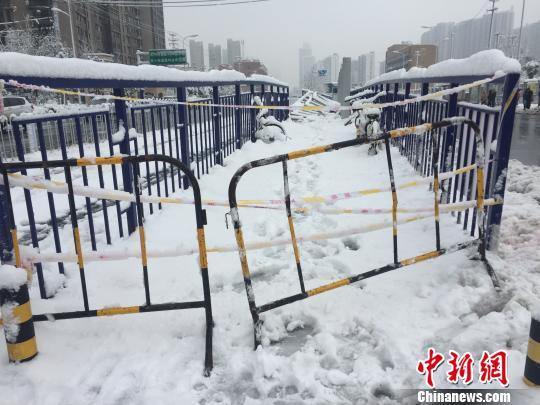 合肥大雪致多个公交站台坍塌 事件调查结果今