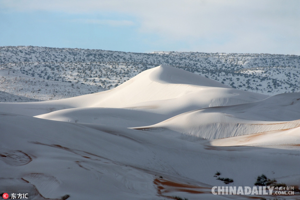 媒体:全球最热的撒哈拉沙漠下雪了