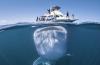 澳顽皮鲸鲨潜伏游艇下近一个小时 安静“观察”游客