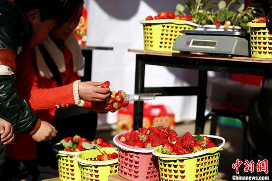 “最脏蔬果”是草莓？美研究称三成样本含逾10种农药