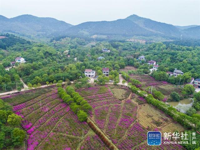 https://img-xhpfm.zhongguowangshi.com/News/201804/ba149efd1f774f28b637c6bb6cc0f882.jpg@640w_1e_1c_80Q_1x.jpg