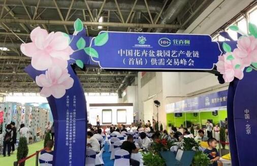 里红影视传媒助力第二十届中国国际花卉园艺展