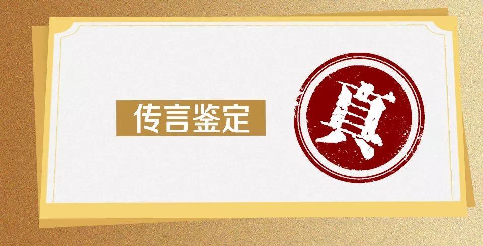 收入证明_国营企业收入(3)