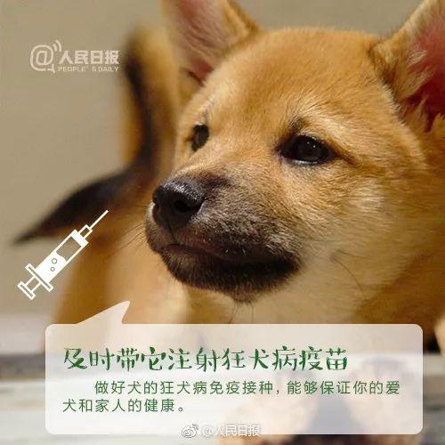20180911070254760.jpg