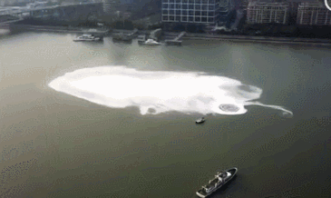 365_218gif 动态图 动图