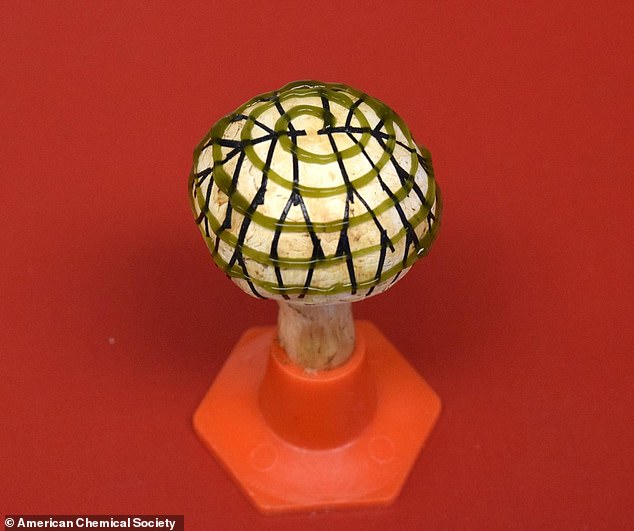 科学家发明仿生蘑菇电灯 3D打印细菌通过光合作用提供能量