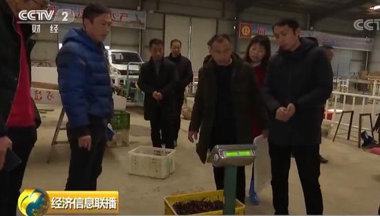 今年的小龙虾已经来了 有人每天靠吃它年薪60万