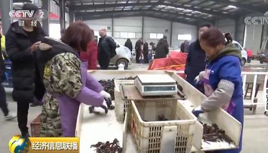 今年的小龙虾已经来了 有人每天靠吃它年薪60万