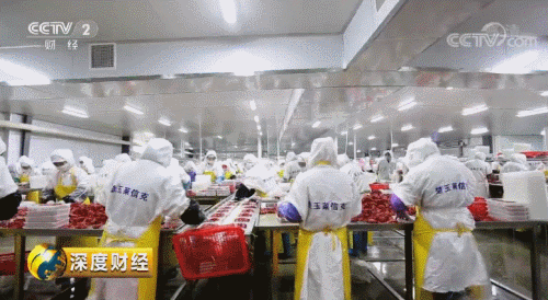 今年的小龙虾已经来了 有人每天靠吃它年薪60万