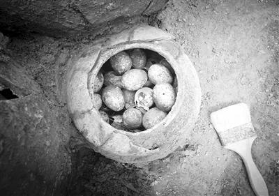 江苏一古墓挖出2500多年前的鸡蛋