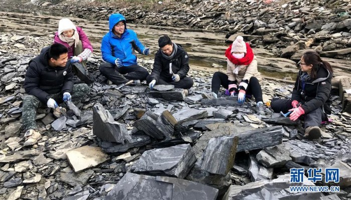 中国科学家发现寒武纪“化石宝库”清江生物群纪实