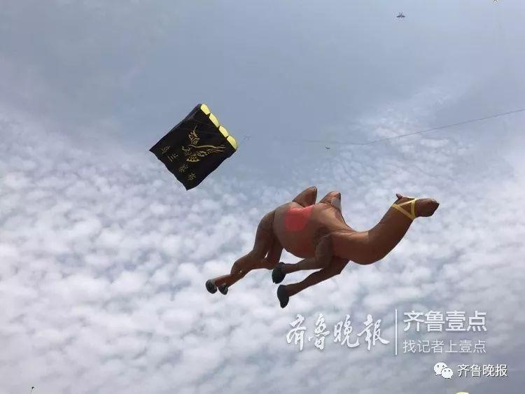 20190421015021419.jpg