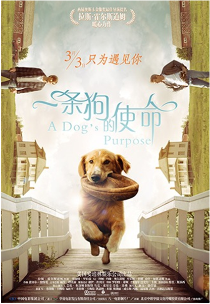 《一条狗的使命2》上映 阿里影业成外片最佳合伙人