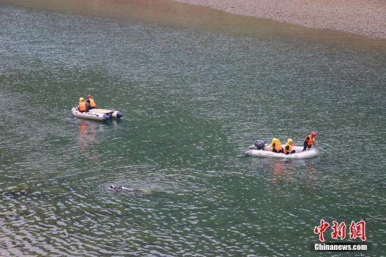 图为救援现场。中新社发 黎峻男 摄